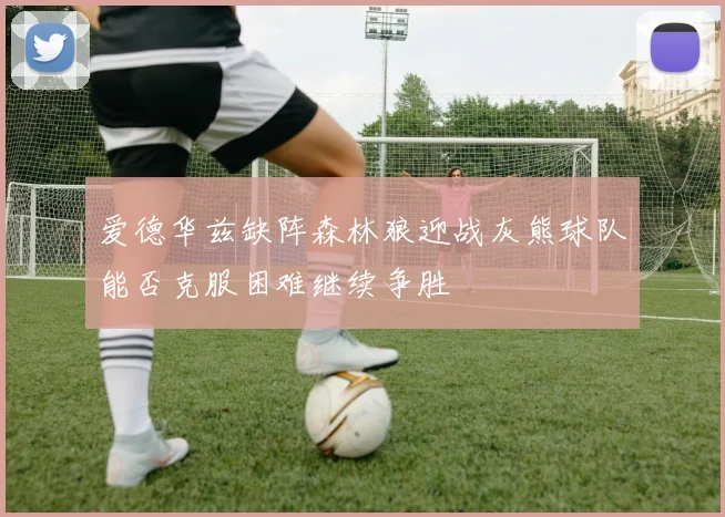 爱德华兹缺阵森林狼迎战灰熊球队能否克服困难继续争胜