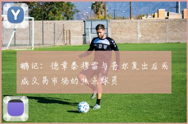 鹕记：德章泰穆雷与普尔复出后或成交易市场的焦点球员