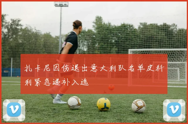 扎卡尼因伤退出意大利队名单皮科利紧急递补入选